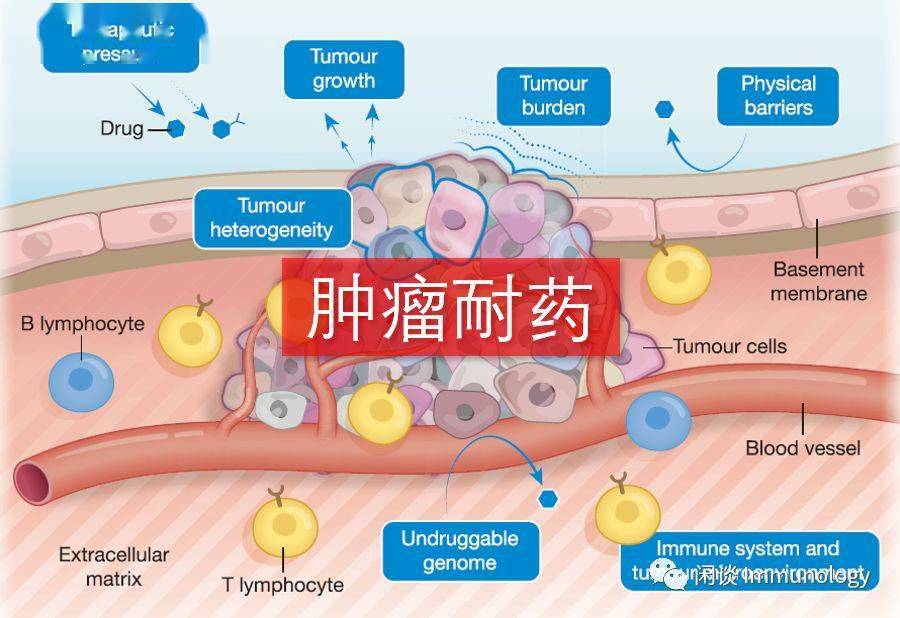 肿瘤耐药生物学基础