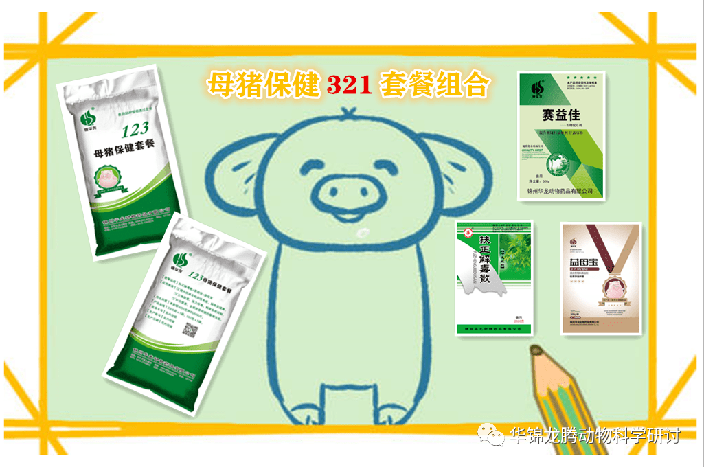 母猪助产小方法