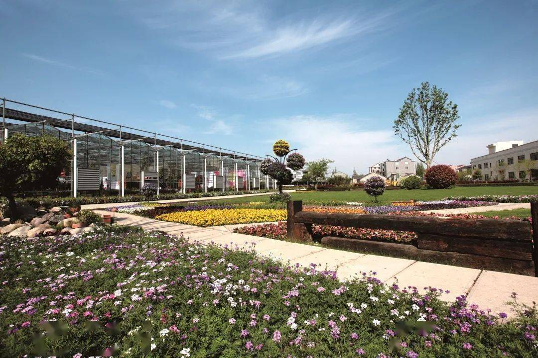 ▼2012年9月25日,海宁国际花卉城桩基开工仪式.