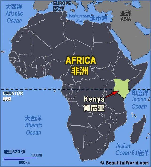 火山灰与肯尼亚红茶