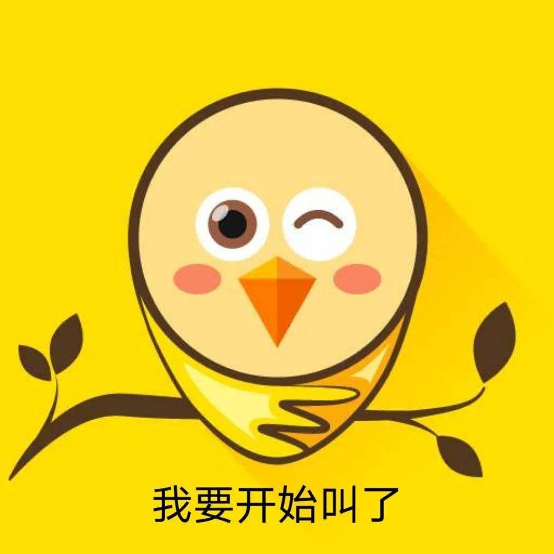 您好我是您亲友为您预定的七夕蛤蟆