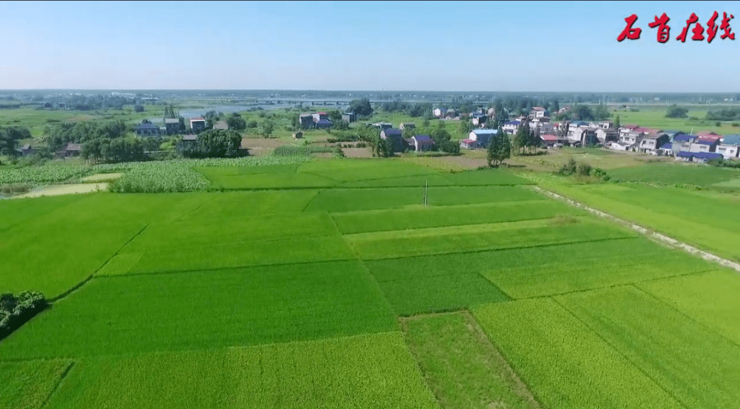 石首市南口镇管家铺村