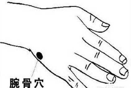 腕骨