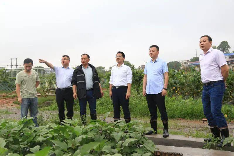 组织部长篇八心中若有桃花源何处不是云水间