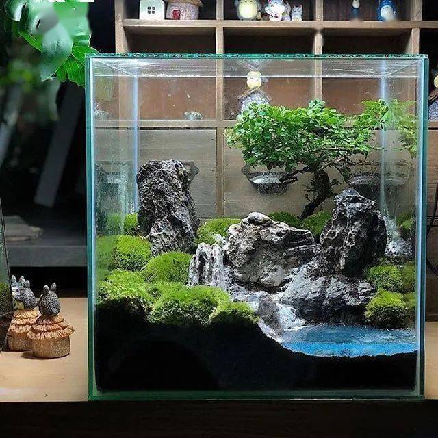 全球頂尖苔蘚缸造景作品