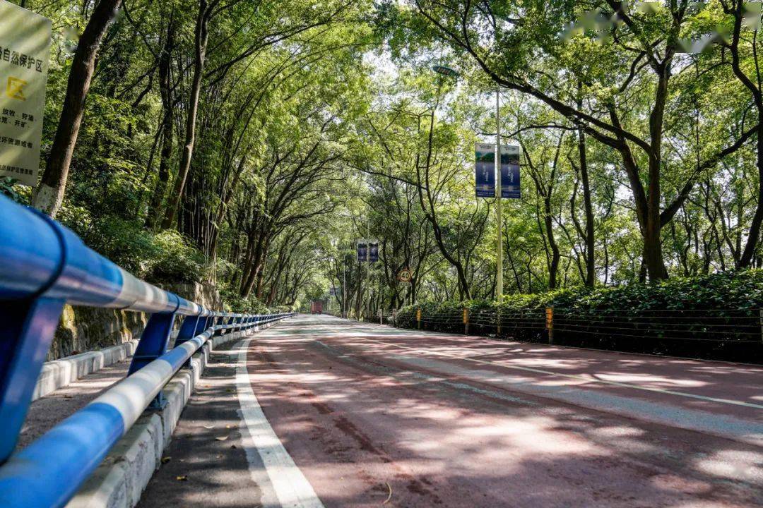 北碚這段公路修好了坐車去縉雲山不再堵