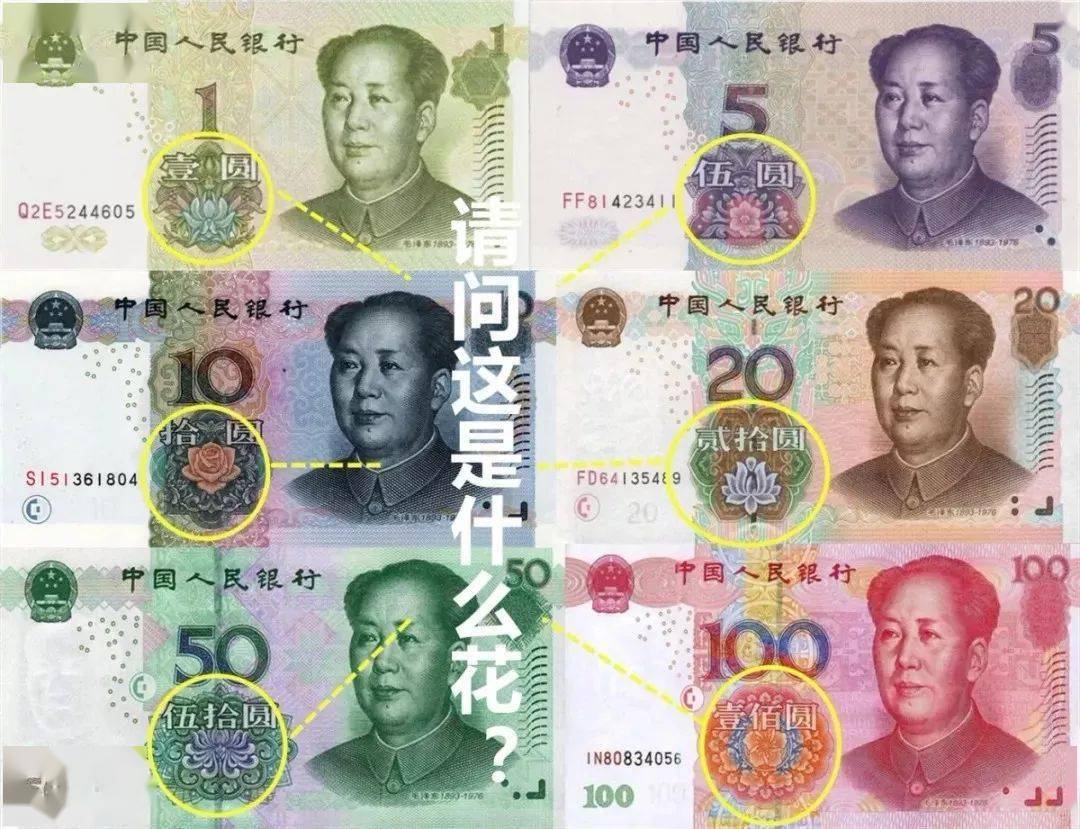 藏在人民币里的器物纹样,你看出来了吗?