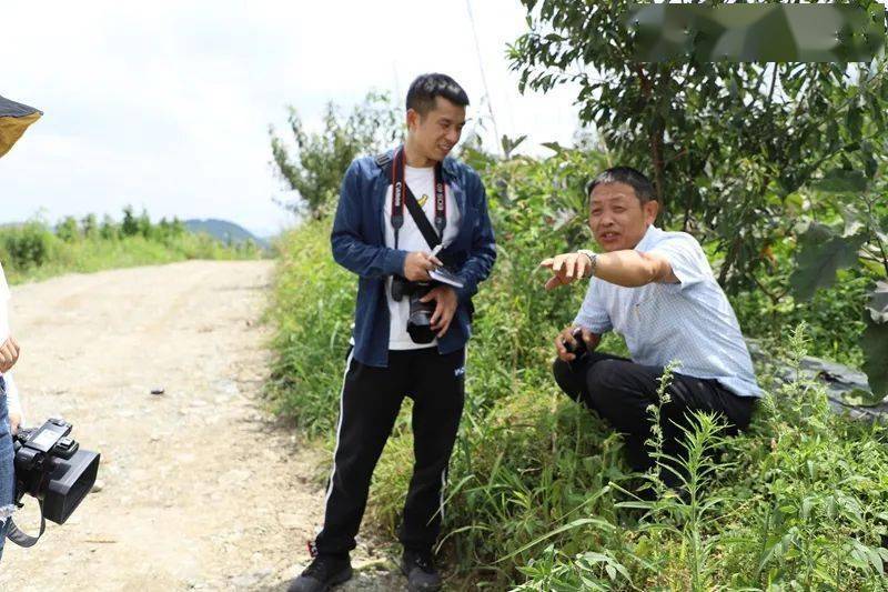 久长街道兴隆村产业兴隆强村富民