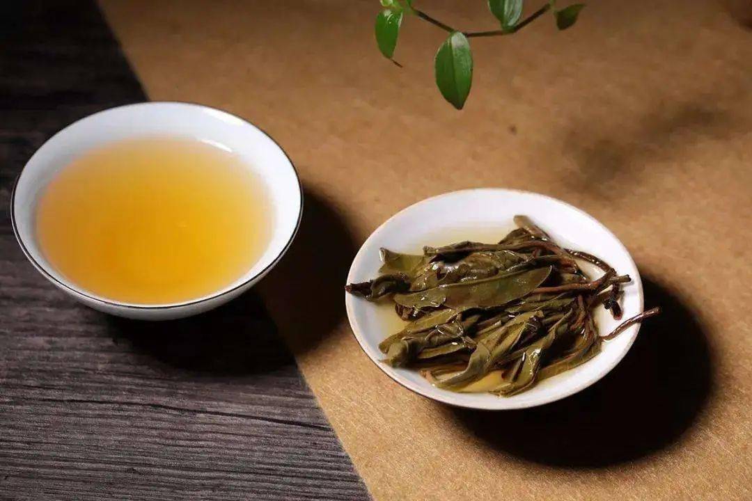 秋茶的品鉴04茶树经过春夏两季生长,采摘,新梢内含