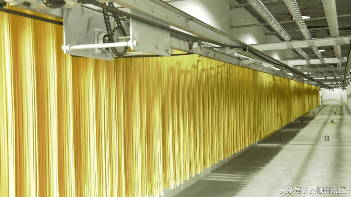 经开区:苗干妈入驻聚福菌 日产面条5至6吨_生产
