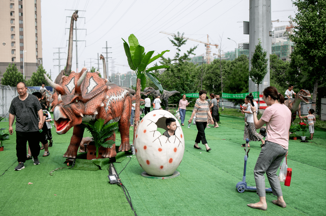 温岭宝龙广场恐龙展图片