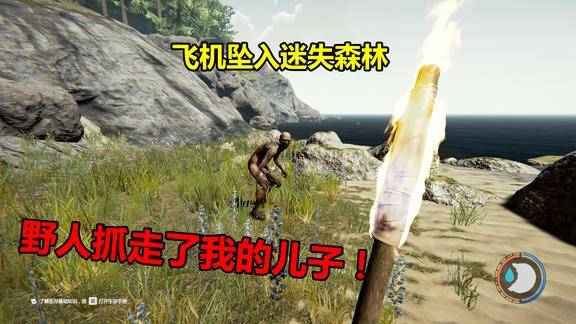 森林01飞机意外坠入野人森林我的儿子被野人王抓走了