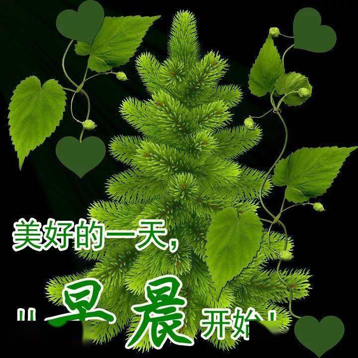 8月30日周末早上好祝福图片大全朋友圈发送给朋友早安祝福短信
