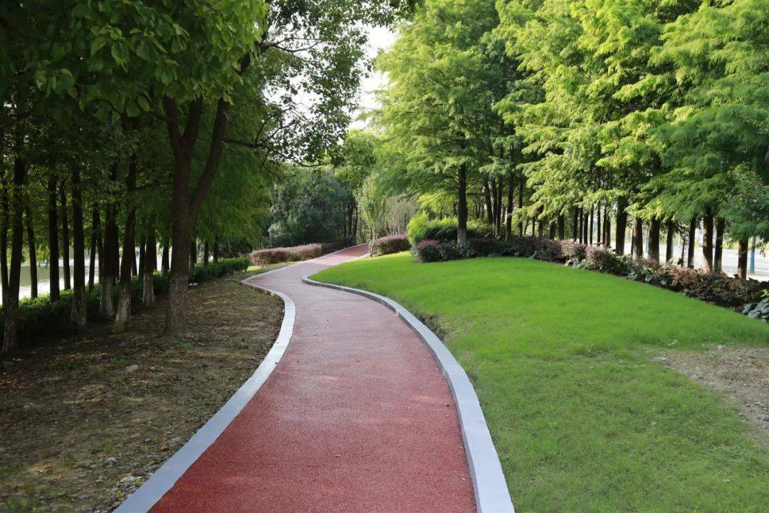 找个离家近的健身步道赶紧开练吧