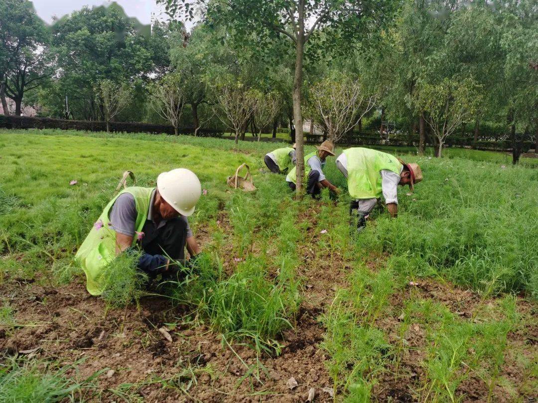 致敬这个夏天在高温下工作的象影人