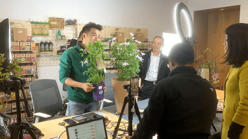 80后男生回乡种花,圈粉上百万,直播卖花300天做到金冠_王大爷