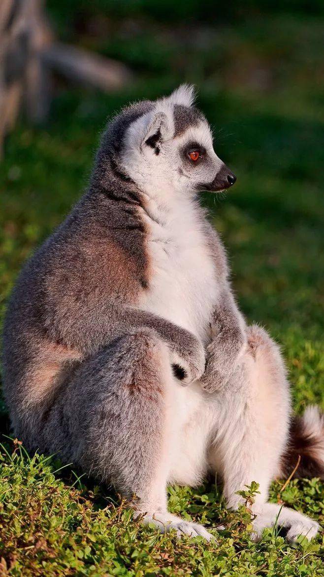 世界各国国宝大展览大开眼界