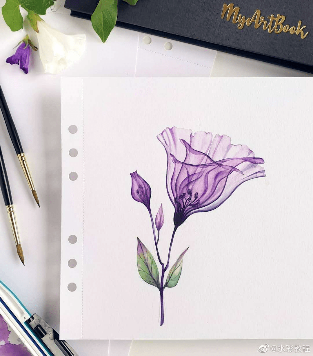水彩花卉作品欣赏 画师:by ins: akvarell_design "马克笔手绘"公众号