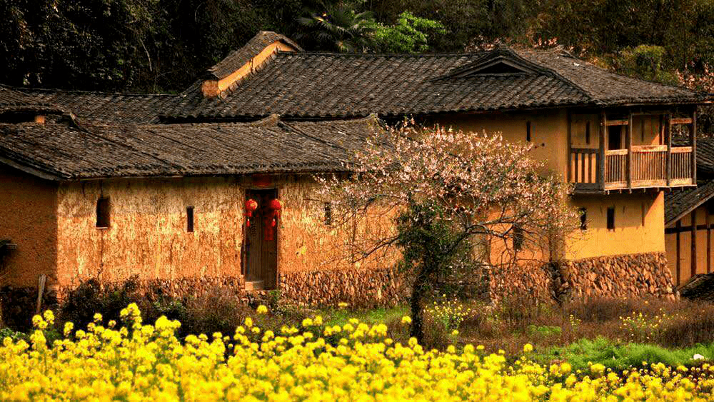 中国美丽休闲乡村三明市大田县桃源镇东坂村