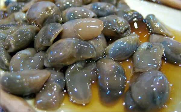 慈溪民间故事|龙山黄泥螺