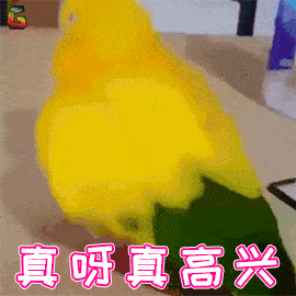 270_270gif 动态图 动图