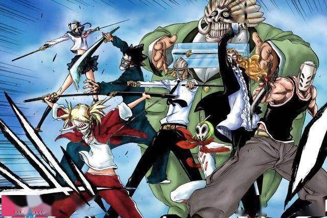 死神:若京乐厌倦了,12名队长谁可任总队长?白哉或涅茧利?_一番队