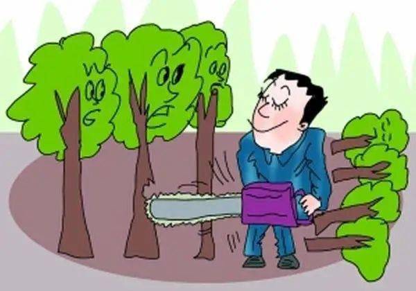 崇左男子砍完自家林木又盗伐被判刑