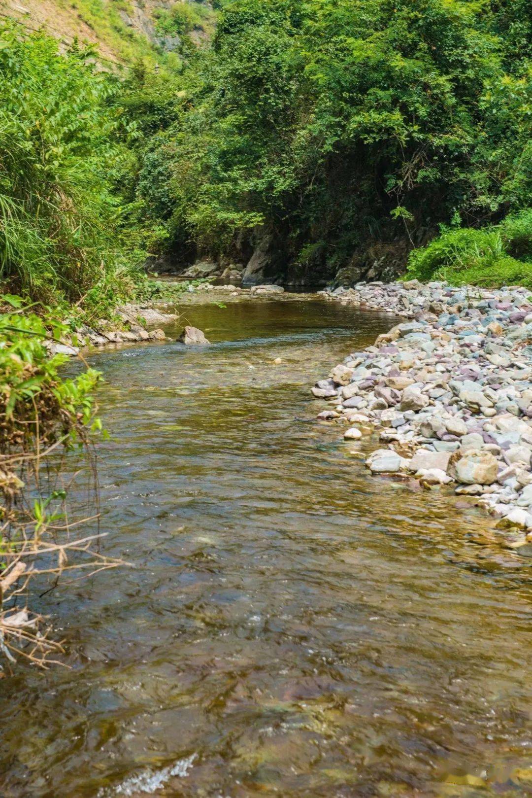 童年记忆:你在秀山的山沟沟里翻过螃蟹吗?_小河沟