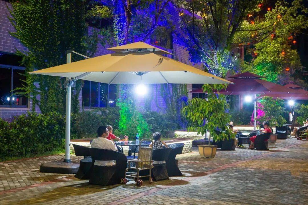 承接草坪婚礼观秀茶吧惬意品茗 赏水幕电影欣赏灯光秀,小型演艺表演