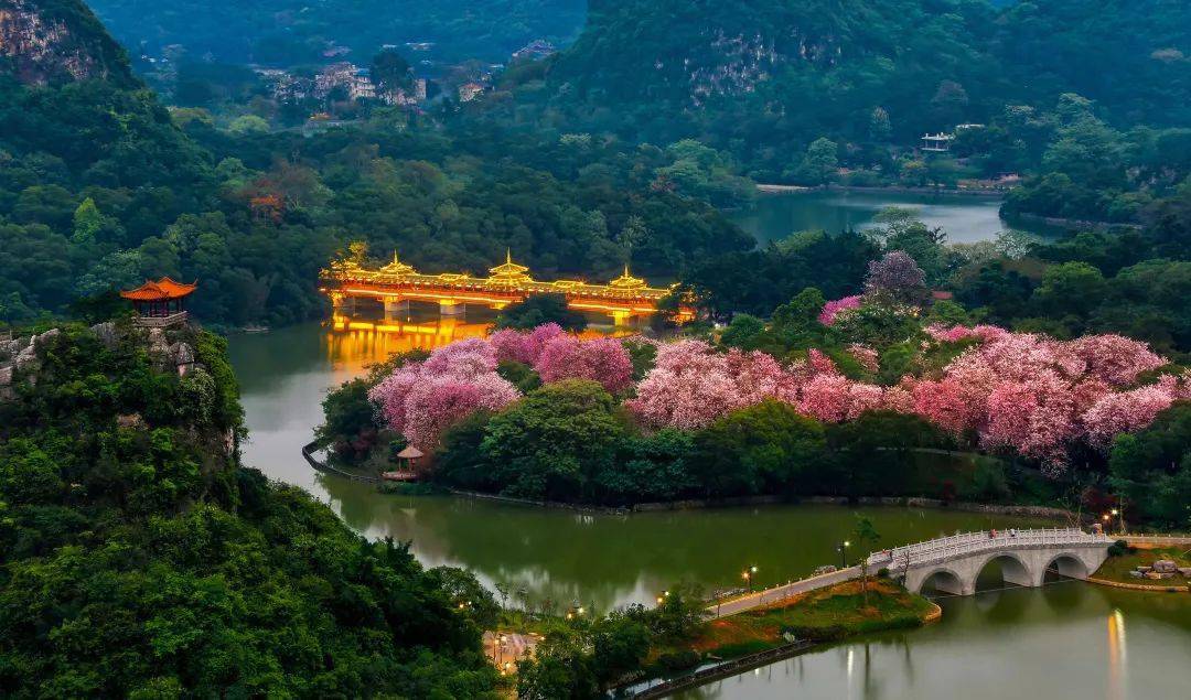 踊跃投票鱼峰区四个景点分别入围广西十佳夜游文化街区和广西十佳夜游