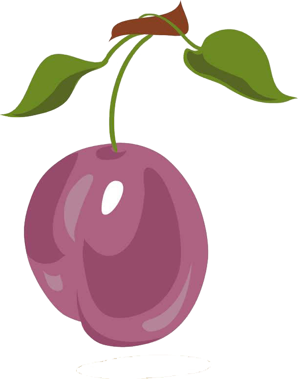 这是一颗来自西域的甜美小炸弹_西梅