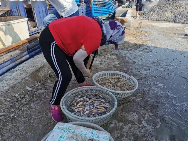 望海寨海鲜市场图片