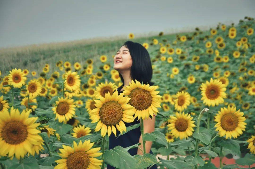 来看梦田花海新颜值!