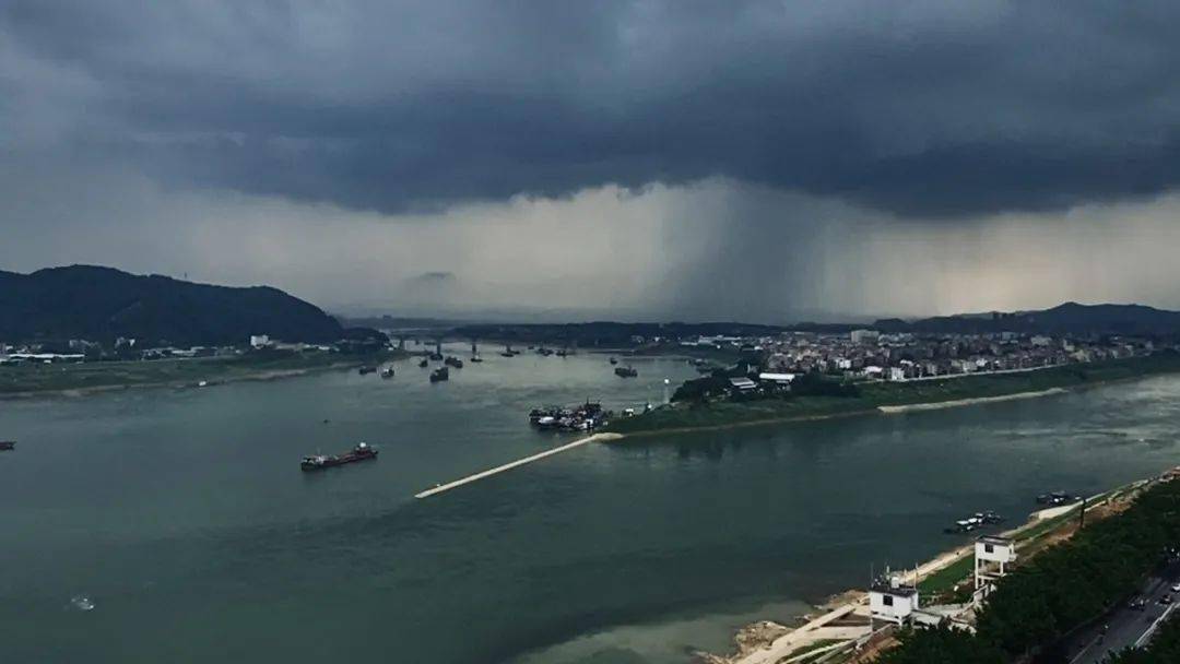 緊急提醒大暴雨今早殺到梧州長洲島驚現大雨傾瀉未來幾天梧州都是雨雨