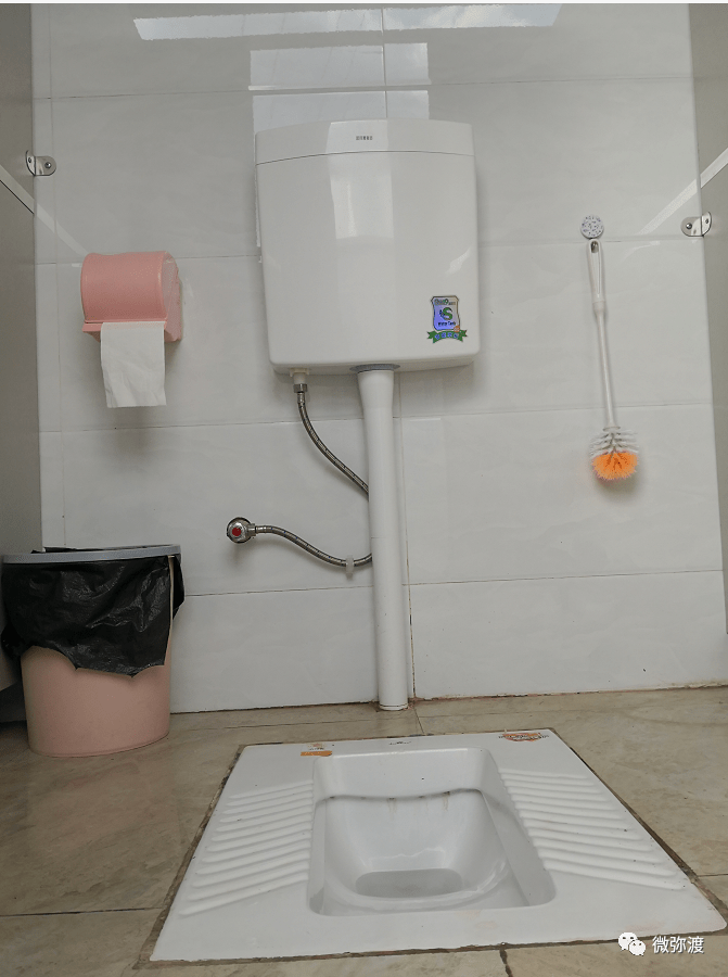 全达标这个镇学校的厕所变成这样啦