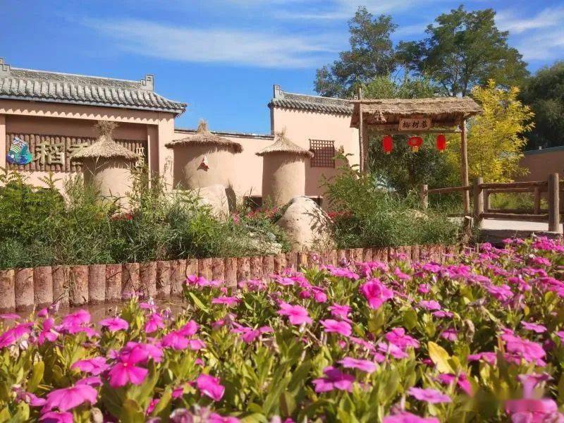 东湾镇瓜园村:黄河岸边一枝花 风景如画醉人心