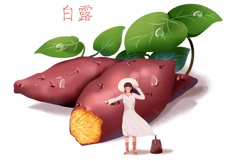 关于白露这些你都知道吗