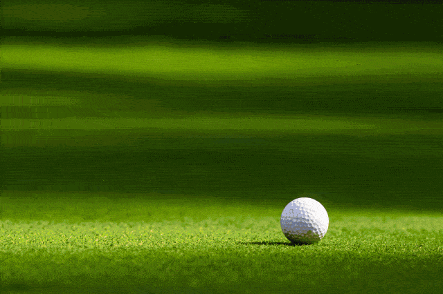 640_426gif 动态图 动图