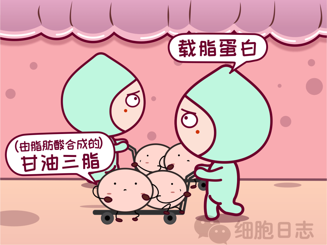 献血时检查出乳糜血怎么回事