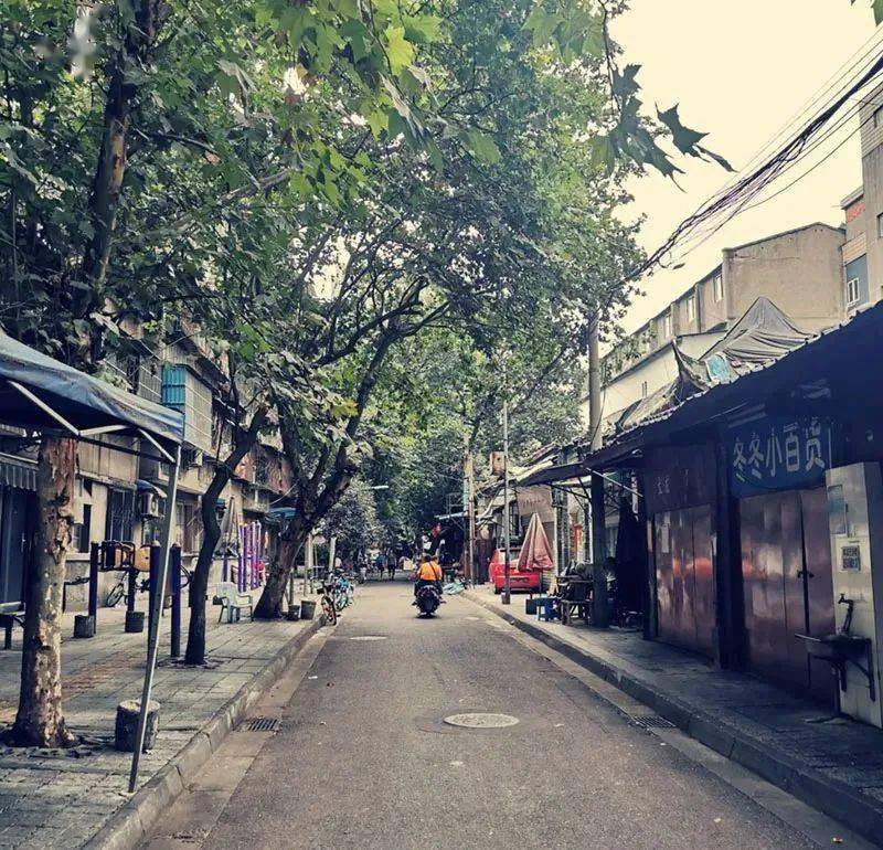 成都300年桂花巷变得"徒有其名"?去老街走走吧