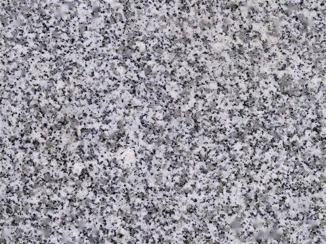 江西省芝麻白05东北省芝麻白东北地区的芝麻白原产地都是非常丰富的