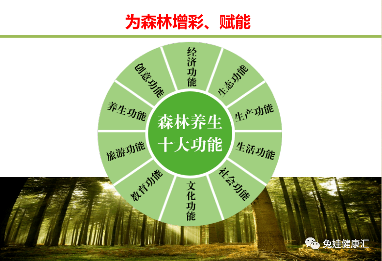 自然防疫 森林有药_养生