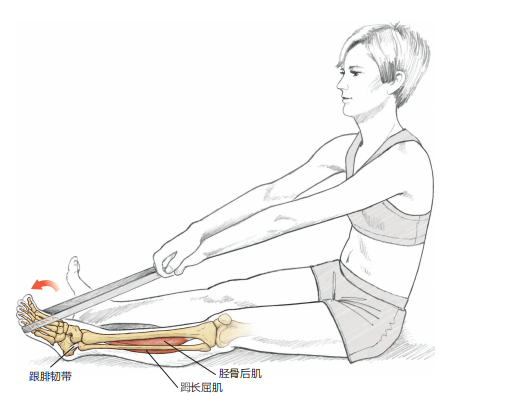 足背背伸背屈示意图图片