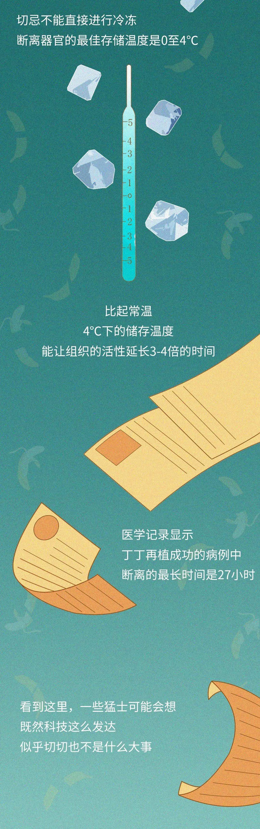 一条正经科普丁丁断了应该怎么办