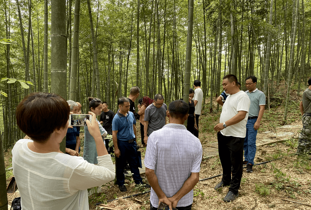 園和青田舒橋鄉中藥材及無煙草木灰處理基地現場開展了兩天的現場實訓