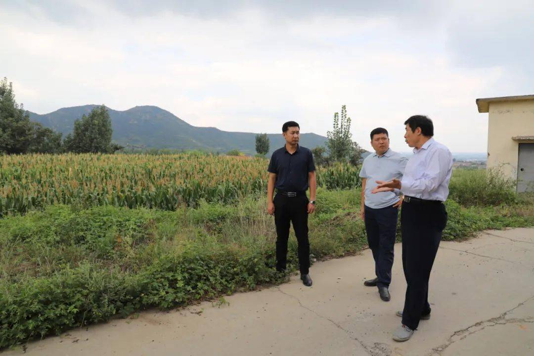 今日关注邹平市青阳镇党委副书记镇长袁庆督导秋季秸秆禁烧工作