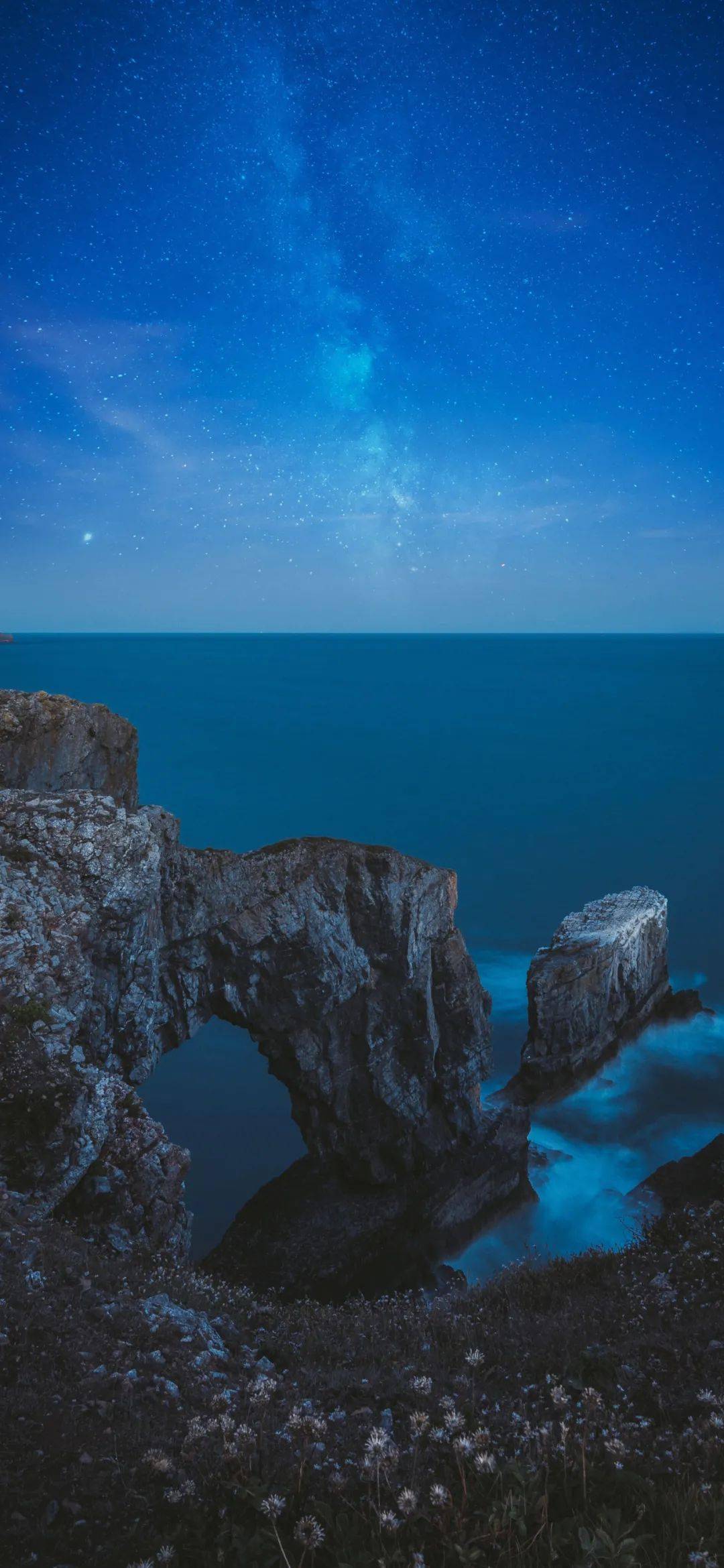 1080_2339竖版 竖屏