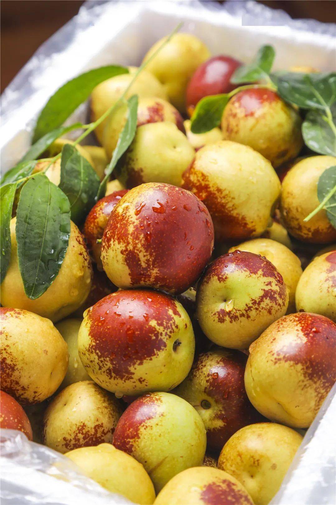 把枣子洗干净放在冰镇后再食用,一口一个!