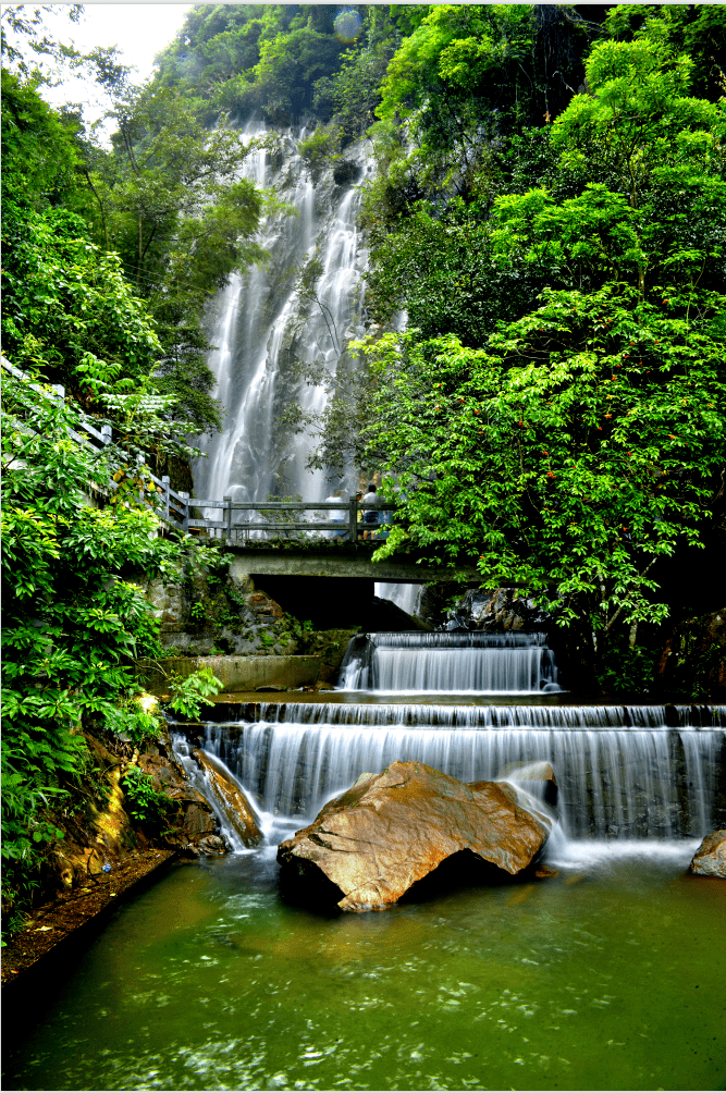 四会这个镇十分热闹原来是