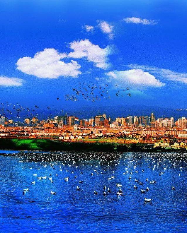 网络文明传播 | 春城昆明:文明是最美的风景_城市